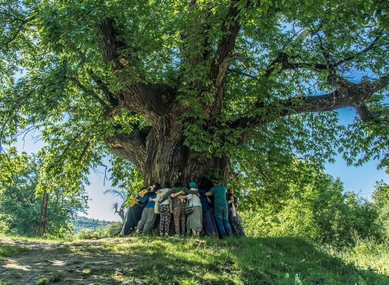 Doğaya Gönüllü Ol