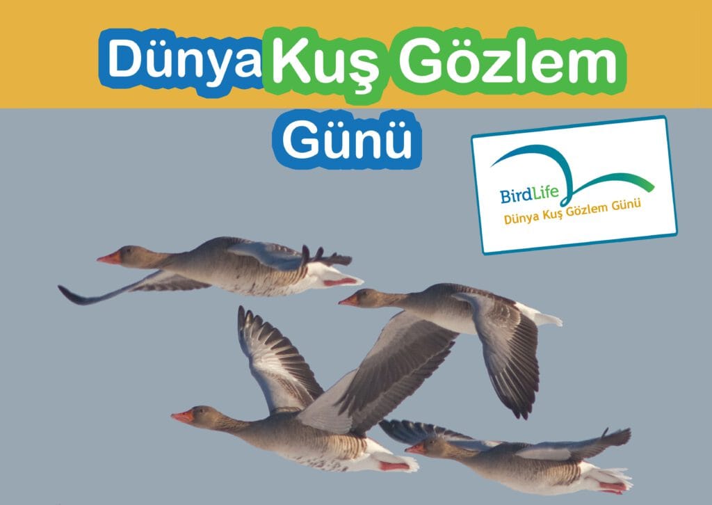 dkg