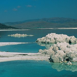 #salda